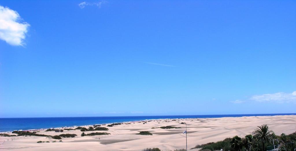 Alsol Patricio Apartment Playa del Ingles  Luaran gambar